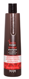 Champu Energy Caida 300ml