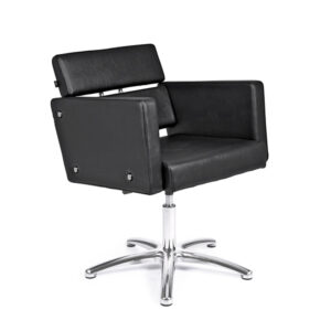 Sill. COSMO Negro 006 P.Aluminio P11 y bomba a Gas B02