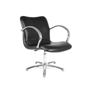 Sill. DELIA Negro 006 P.Aluminio P11 y Bomba a gas