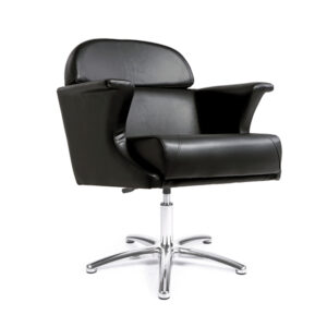 Sill. SABA Negro 006 P.Aluminio P11 y bomba a Gas B02