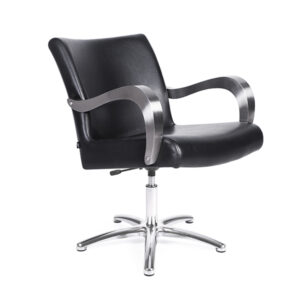 Sill. MALI Negro 006 P.Aluminio P11 y Bomba a gas B02