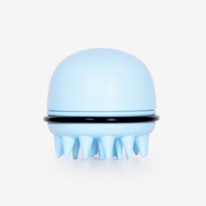 Scalp Brush Blue Wet Brush