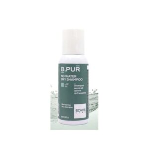 Champu en Seco 100ml B.PUR